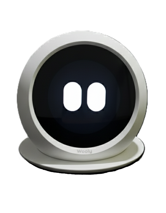 Wooly AI Smart Companion